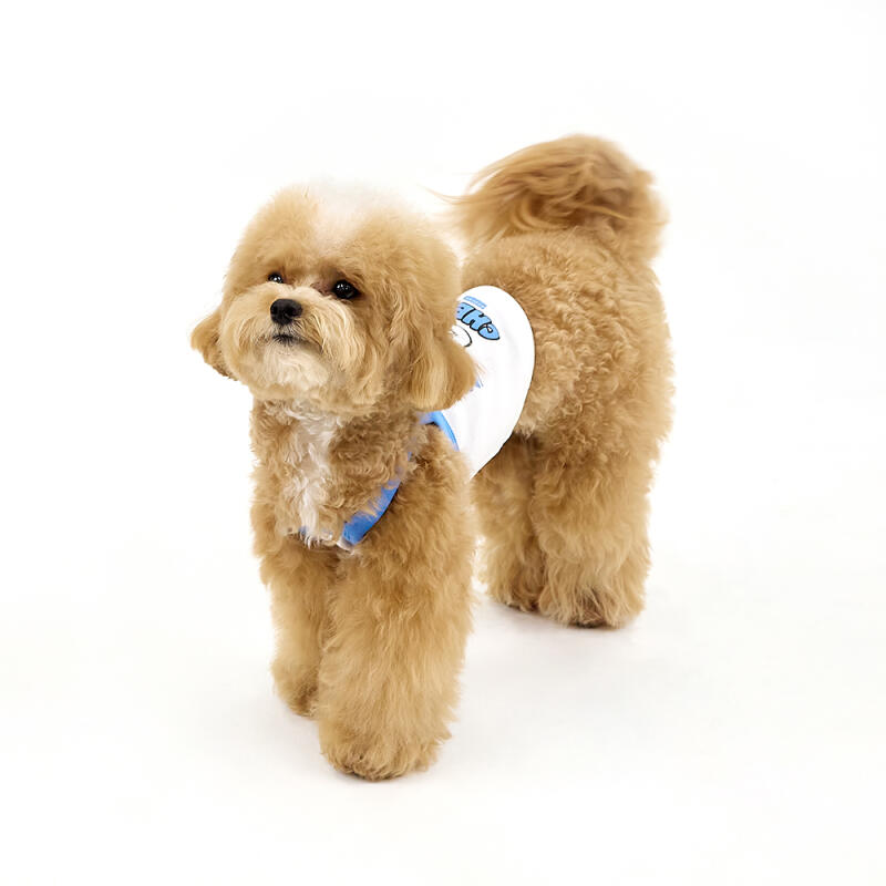 [KINIKIN]SWAG CHICHI CROP TOP-BLUE (Crop Top) M