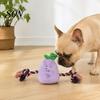Pet Anxiety Relief Toy Stuffed Vegetable Dog Toy, Interactive Squeaky Chew Plush Carrot Eggplant Green Pepper with Rope Arm for Tug-of-war,