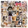 Lot de 50 Autocollants Emojis Chat Internet: Décoration Tendance pour Skateboards, Bouteilles d'Eau, Valises et Plus