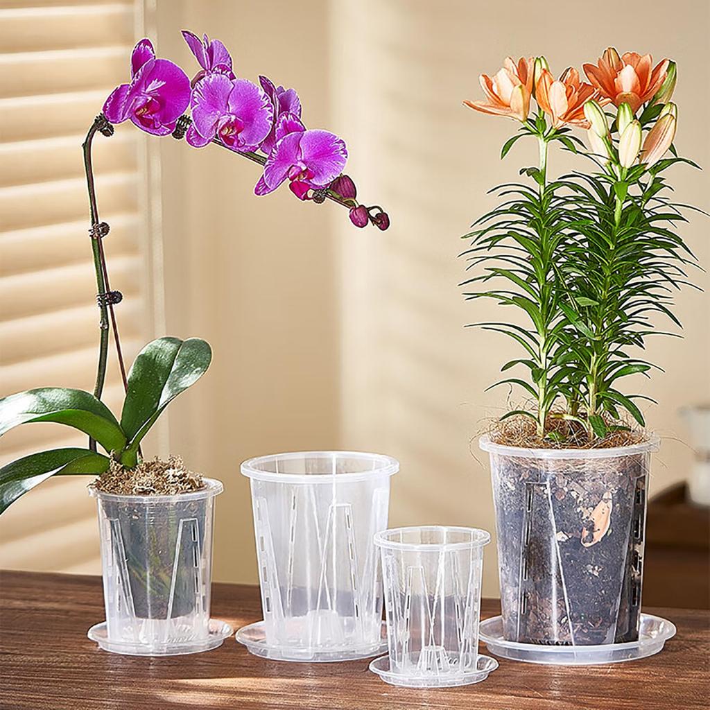 Orirya Flower Slit Potted with Orchid with Phalaenopsis Seedling Gardening 16cm Planter, Pot, Plastic, Pot, Transparent, Houseplant, Succulent, Plant,