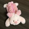 Cute Hello Kitty Piglet Tortoise Plush Toy Pen Case With Soft Plush Material For Kids And Teens