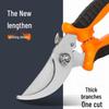 Stainless Steel Garden Pruning Shears for Fruit, Flowers, Branches, and Orchards