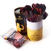 CUESOUL practice soft tip darts 12 pieces (17g/piece)