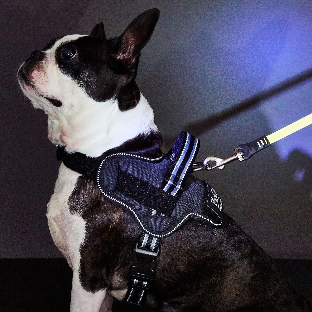 

Petio EthicalDoor Easy Wear Dog Harness, Size Small, Black