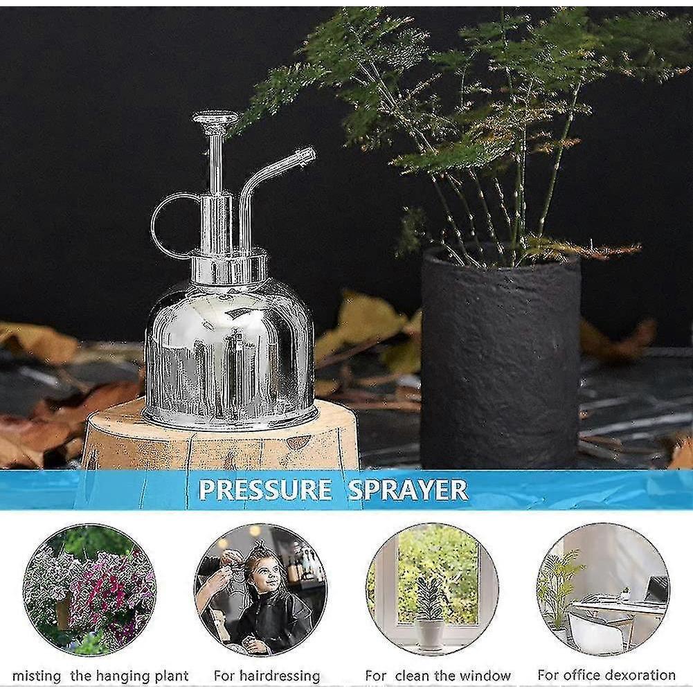 Stainless Steel Watering Can, Mini Plant Spray Mister 10oz/300ml Watering Pot For Outdoor Indoor Gardening Plant