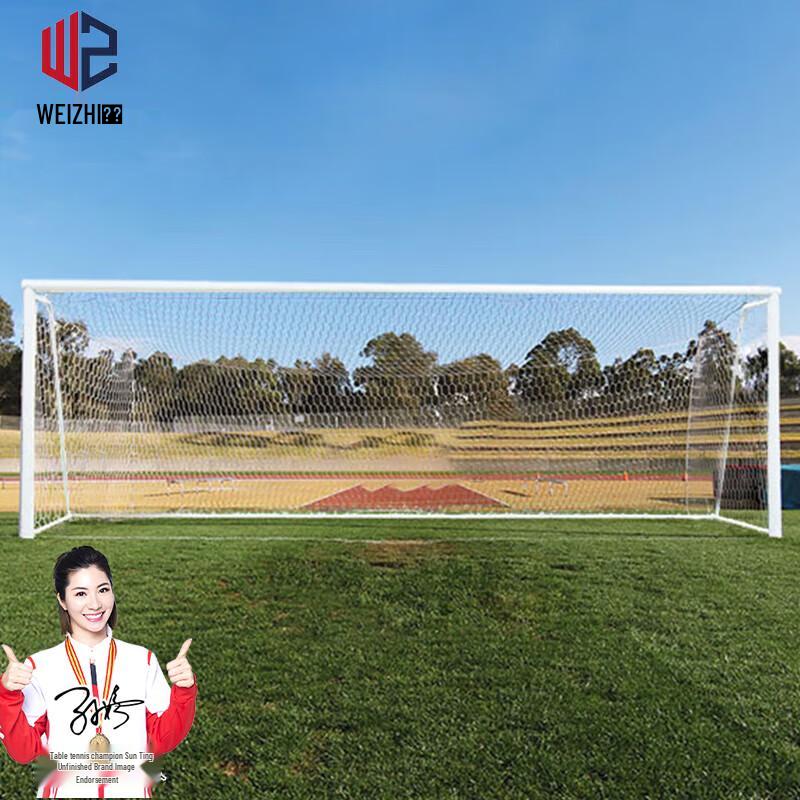 Weizhi 11-a-side Movable Soccer Goals (Pair) with Net