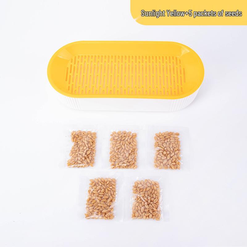 Hydroponic Cat Grass Set: Catnip Planting Box for Pet Snacks