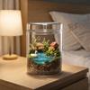 Perforated Cover Desktop Glass Vase Cylinder Micro Landscape Glass Terrarium  Bonsai Display