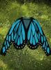 Color Block Butterfly Knit Cardigan with Batwing Sleeves