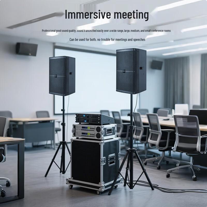 Huisite M-510 Professional 10-inch Passive Speaker (CN version)