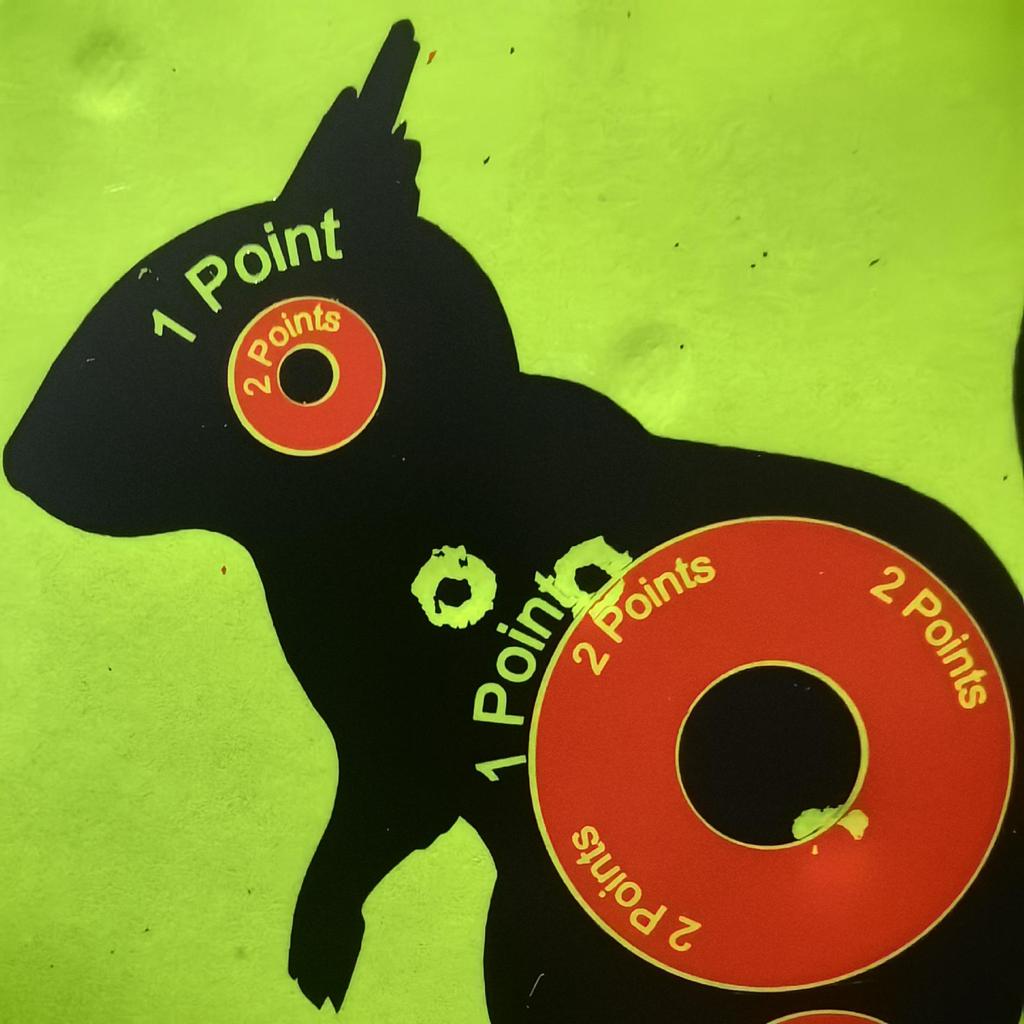 4" Fluorescent Blossom Compound Bow Target Paper for Competition Practice