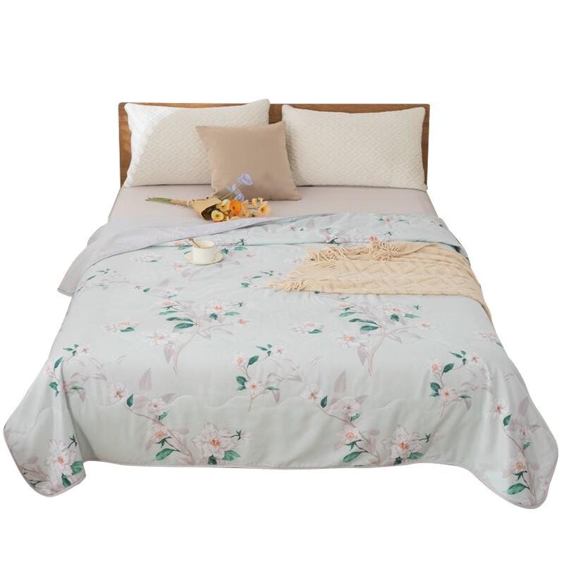 

Duohuxi Washable Velvet Summer Quilt