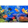 3 Pcs Orange Fake Floating Fishes Plastic Fake Goldfish Artificial Aquarium Fishes Colorful Realistic Artificial Moving Fish Ornament Decorations