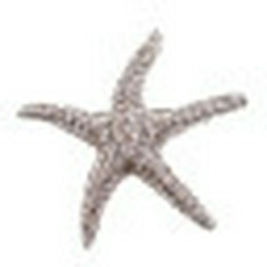 Broche Étoile de Mer Diamant Alliage Écologique: Accessoire de mode polyvalent pour femmes