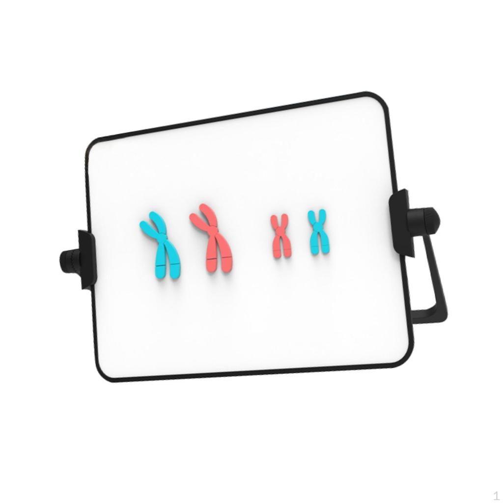 Chromosome Model Kit Educational Learning Tool Reusable Demonstration Instrument Easy to