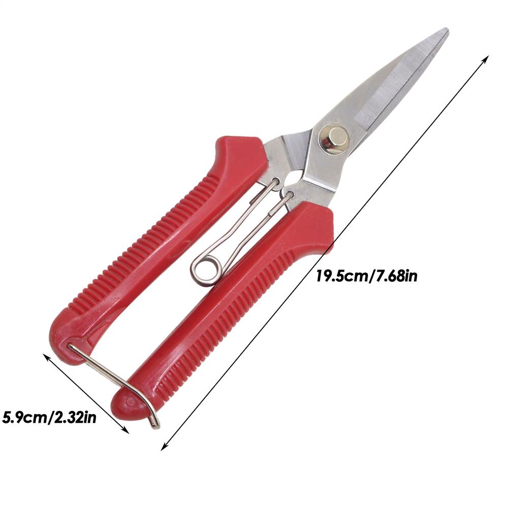 

Секатор Сверхпрочные Ножницы для обрезки Прецизионная резка Инструменты для обрезки с эргономичной рукояткой Защищенные от ржавчины Садовые принадлежности красный