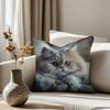 Realistic Cat Pillowcase, Fluffy Persian Cat Cushion Cover, Animal Portrait Art, Cozy Home Decor for Living Room Bedroom