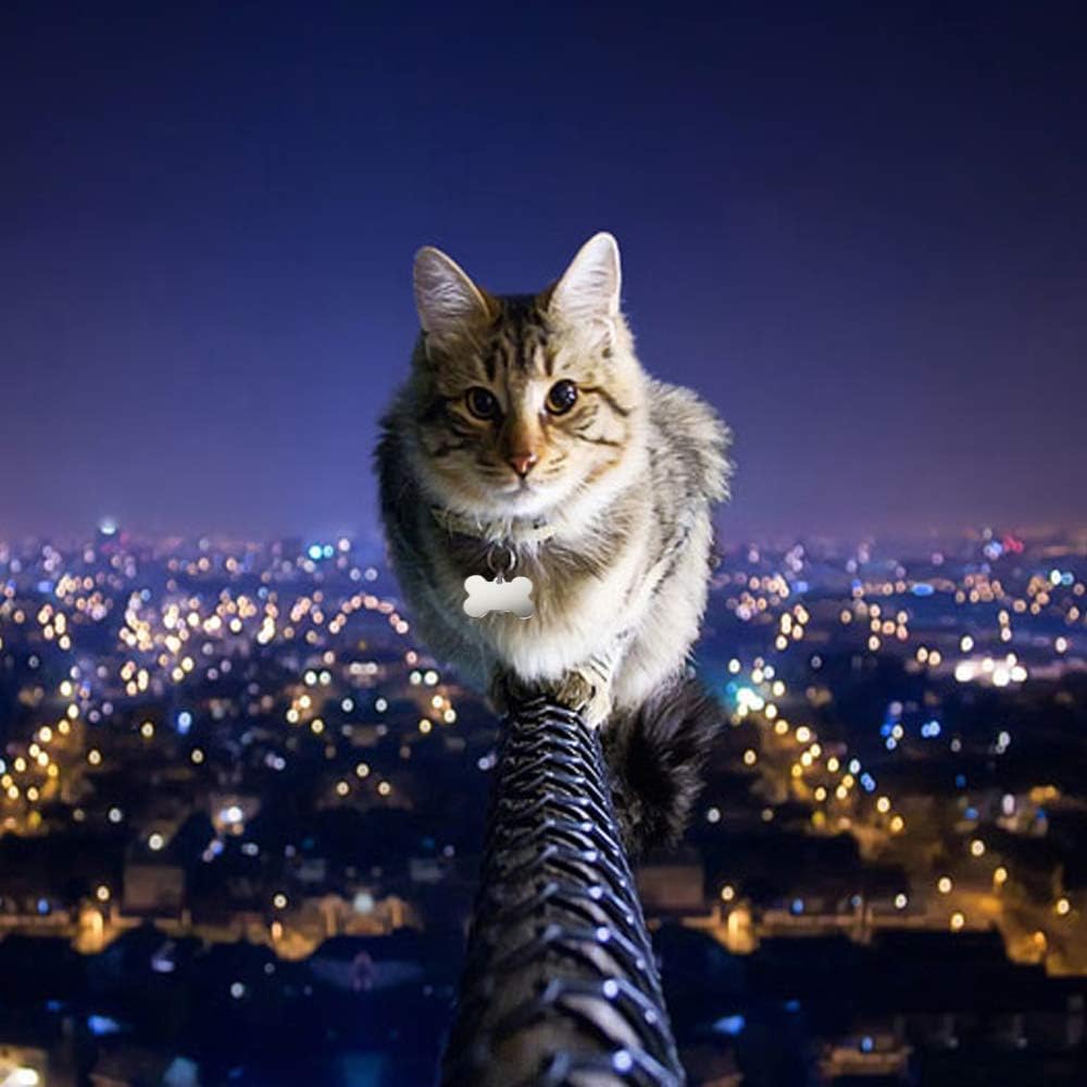 30 Pcs Pet ID Tag Bone Shape 38MM Blank Personalized Aluminium Pendants Tag Dog Cat Pet Name Phone Number ID Tag Charm with Key Ring for Dogs Cats