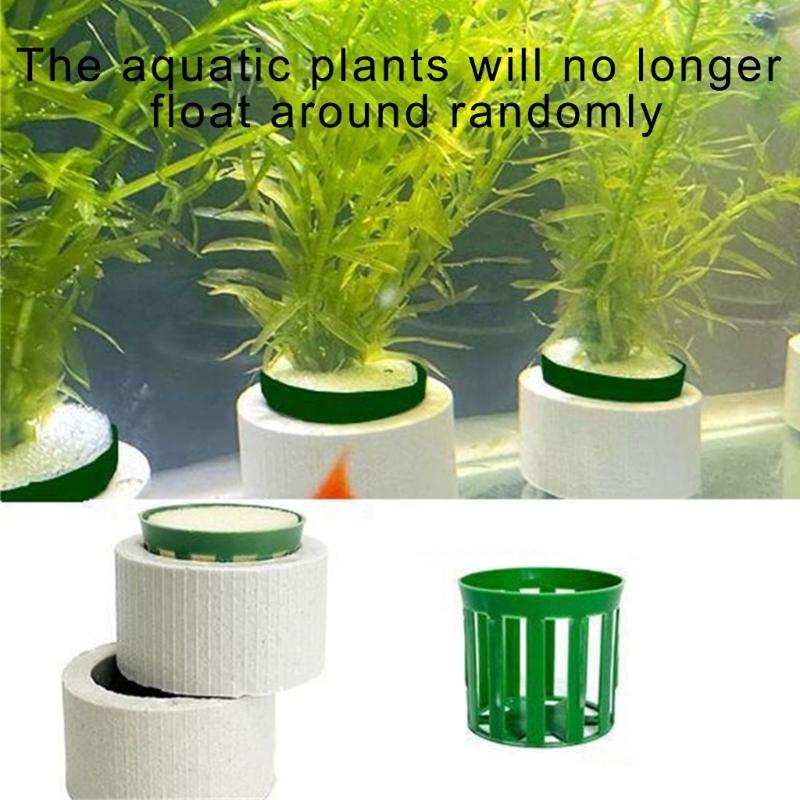 30 Stück Keramik Pflanzengewichte Kein Auftrieb Vegetationsstabilisatoren für Aquascaping Landschaften