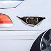 Cute Pug Animal Car Decals Bumper Window Stickers Car Accessories Waterproof Vinyl Material