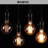 Bravelight Edison Bulbs, 60W, E26E27 Base [G95], Ball Bulbs, Carbon Fiber Bulbs (Non-LED Bulbs), Warm White, Stylish Edison Bulbs, Retro Bulbs,