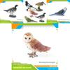 Bird Animal Model With Plastic Material For Home Decor And Collecting