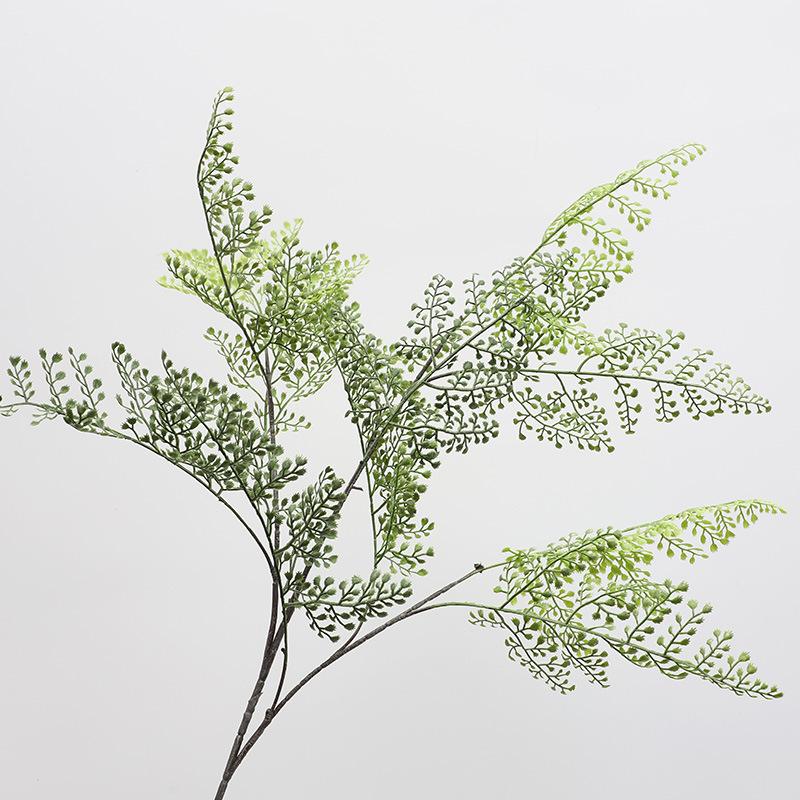 

Южный день Бамбуковая свадебная планировка Гостиничная инженерия Ландшафтная симуляция Стена из папоротника Цветочное искусство Cypress 105cm зелёный