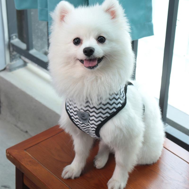 Back and Chest Harness Set for Pet Dogs - Leash for Taking Dogs Out for Walks - Cat Leash - Small Dog Breathable Walking Rope