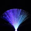 Wedding Gift Holiday Decoration Starry Fiber Optic Lamp Multi Color Changing Star LED Light