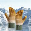 Knitted Gloves for Women Double Layer Plus Velvet Thickened Cold-proof Touch Screen Partial Finger Warm Outdoor Cycling Gloves