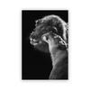 Lion and Lioness Animal Canvas Print Black White Abstract Watercolor Painting Poster Nursery Wall Art Pictures Living Room Decor