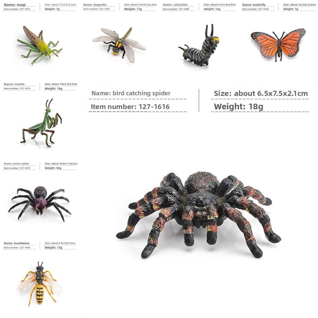 Jungle Rainforest Insect Butterfly Poison Spider Pvc Model Set With Realistic Wildlife Display For Nature Enthusiasts