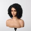 ALAN EATON  13x1  Lace Front Wig Black Short Deep Curly Wigs for Black Women Hair Daily Party High Density Heat Resistant