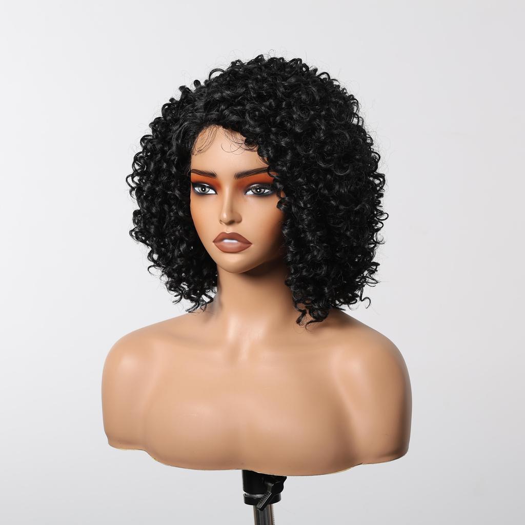 ALAN EATON  13x1  Lace Front Wig Black Short Deep Curly Wigs for Black Women Hair Daily Party High Density Heat Resistant