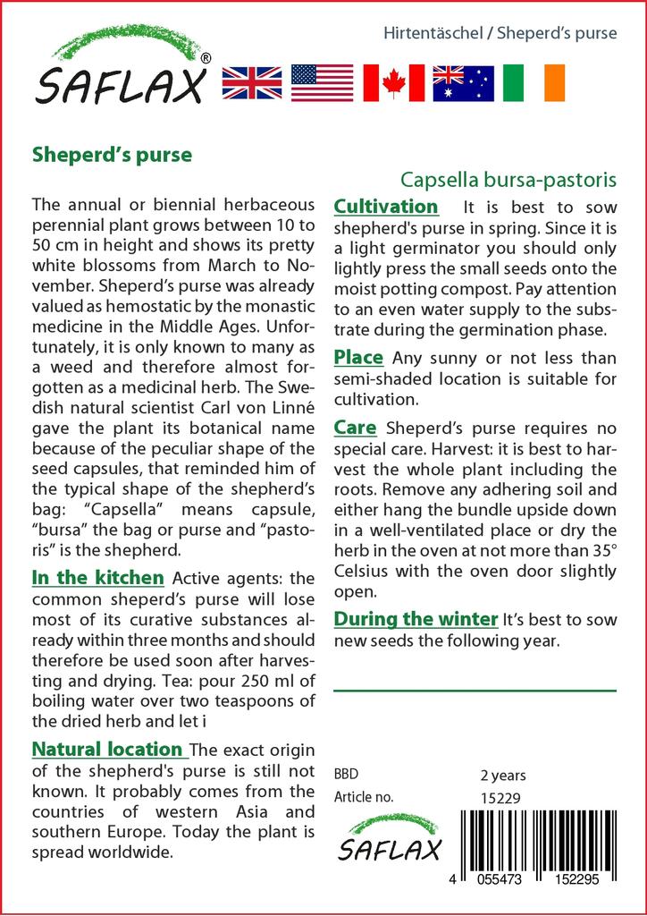 SAFLAX Garden In the Bag - Sheperd’s Purse - 1000 Seeds - With Substrate In a Fitting Stand Up Bag - Capsella Bursa-pastoris