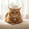 Zinc Zinc Alloy Pet Crown Headdress Adjustable Kitten Party Headwear Pet Party Decorations  Pet Accessories