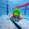 Waterproof Swimming Caps High Stretch Fish Swim Hat Silicone Swim Caps  Pool Accessories