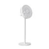 AIRMATE FS30-R57 Remote Control Desk & Floor Fan CN plug (adapter included)