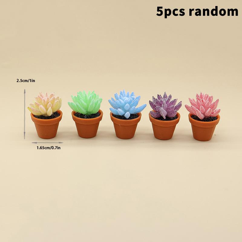 5 Stück Simulation Mini-Sukkulenten Topfpflanzen Modell Puppenhaus Bonsai Dekoration Puppenhaus Mikro-Landschaft Garten Schreibtisch-Schmuck