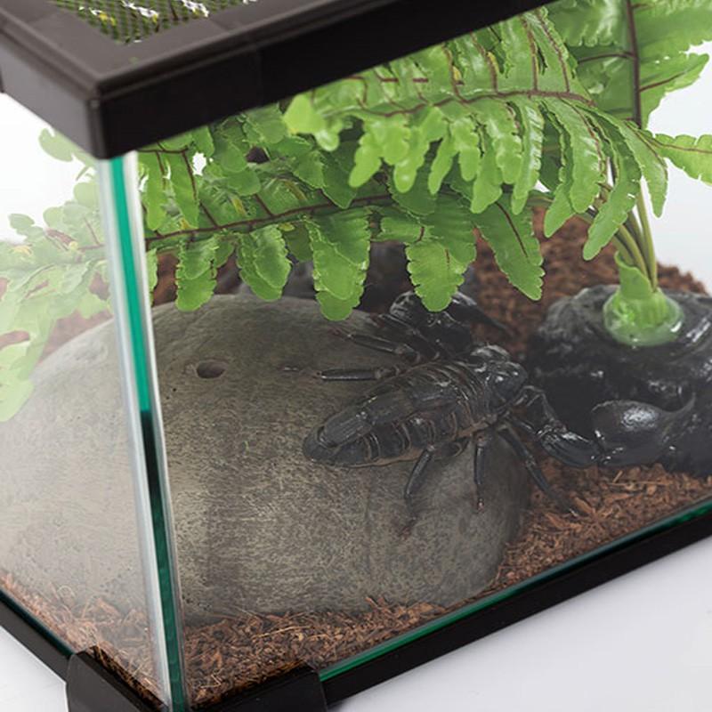 Repti-Zoo Terrarium Ak 21X31X15