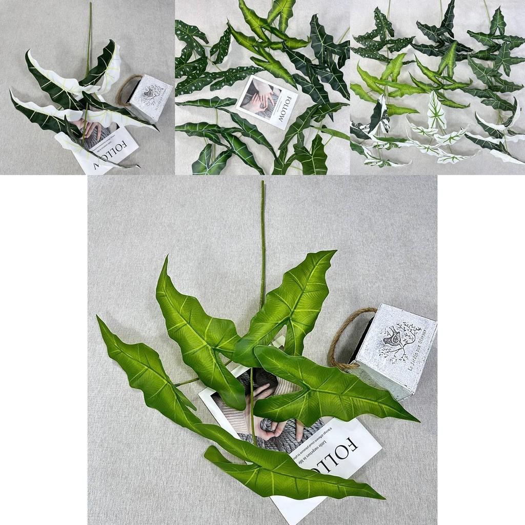 Künstliche grüne Pflanze Alocasia Odora mit lebensechtem Laub für Party- und Eventdekoration