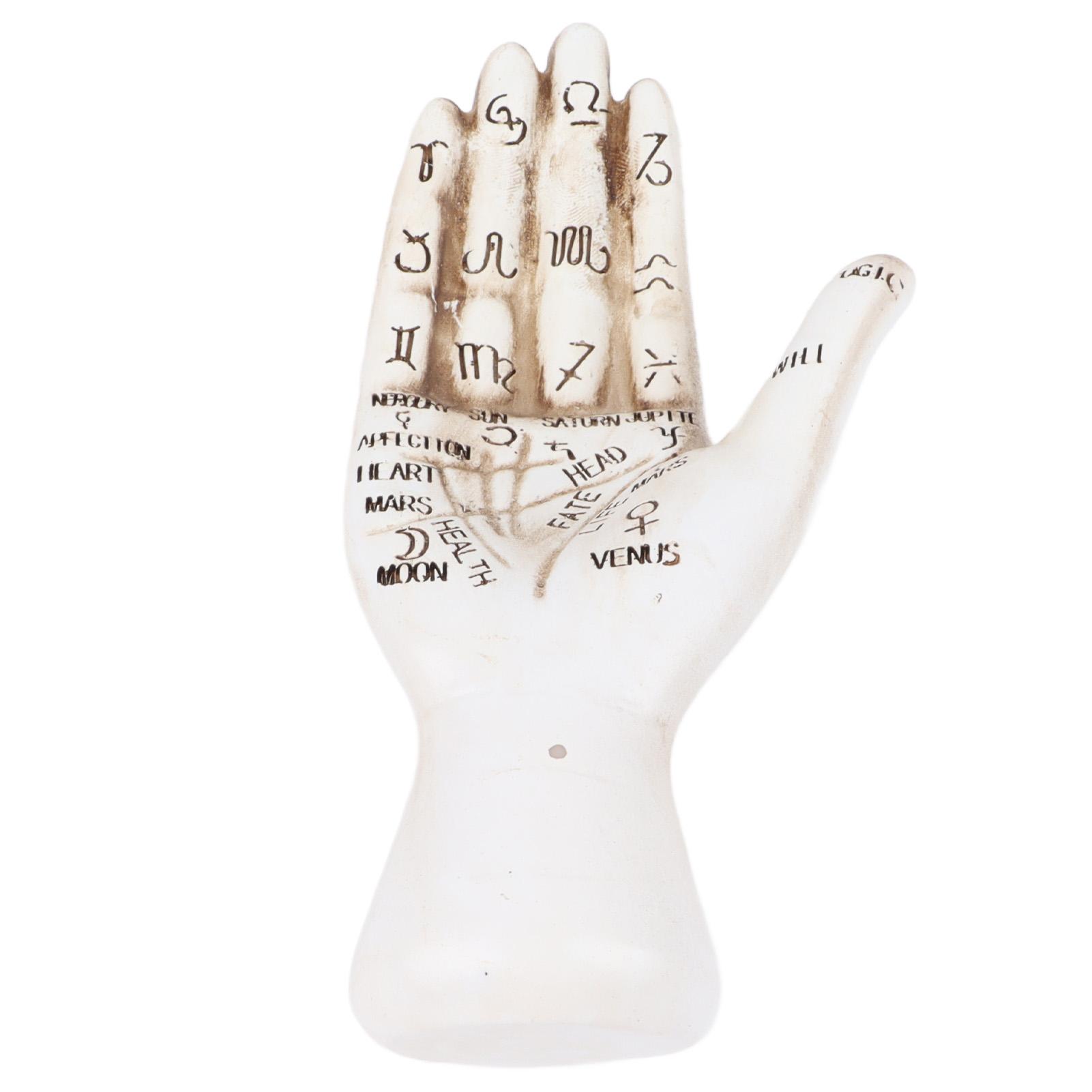 

Halloween Skeleton Decorations Hand Painted Delicately Carved Lifelike Skeleton Decor Scary Prop for Graveyard Scenes