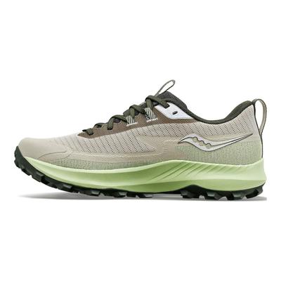 Peregrine 13 GORE-TEX Dust Umbra Męskie Sneakersy Szare S20841-30