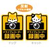Car Magnet for Recording, Dog, Cat, Cute, Car Magnet, Car Accessory, Drive Recorder, Magnet,