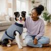 Breathable Dog Recovery Suit Washable Pet Sterilization Suit Dog Physiological Pants  Pet Care