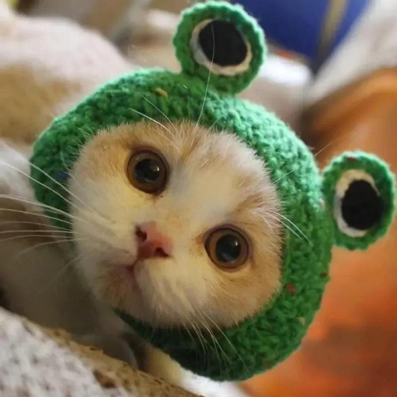 Cappello per gatti autunno inverno Cappello elastico carino raffinato per animali domestici Cuccioli Gattini Cappello lavorato a maglia Party Photo Shoot Puntelli Decorazione Accessori per gatti