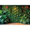 MOON.QG Tropical Leaves Backdrops Spring Garden Backgrounds Green Grass Photo Wall Customized Name Birthday Wedding Photocall