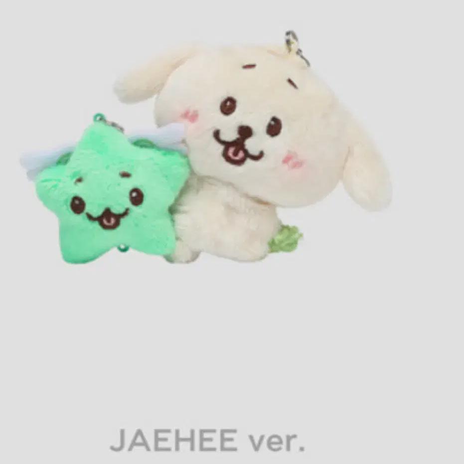 

NCT Wish Логин Мд Ли Джэхи Dantriver Концерт Мини Кукла Брелок