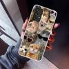 Crying Cat Memes Phone Case For Samsung Galaxy A12 A52S A42 A32 A22 A51 A50 Note 20 Ultra 10 S10 Plus A71 A70 A31 A30 A10S Galax