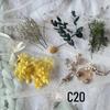 Kit DIY Fleur Éternelle: Cadre photo de fleurs séchées, éventail rond, bouteille flottante, composition florale réelle pour la décoration du salon ou de la maternelle.